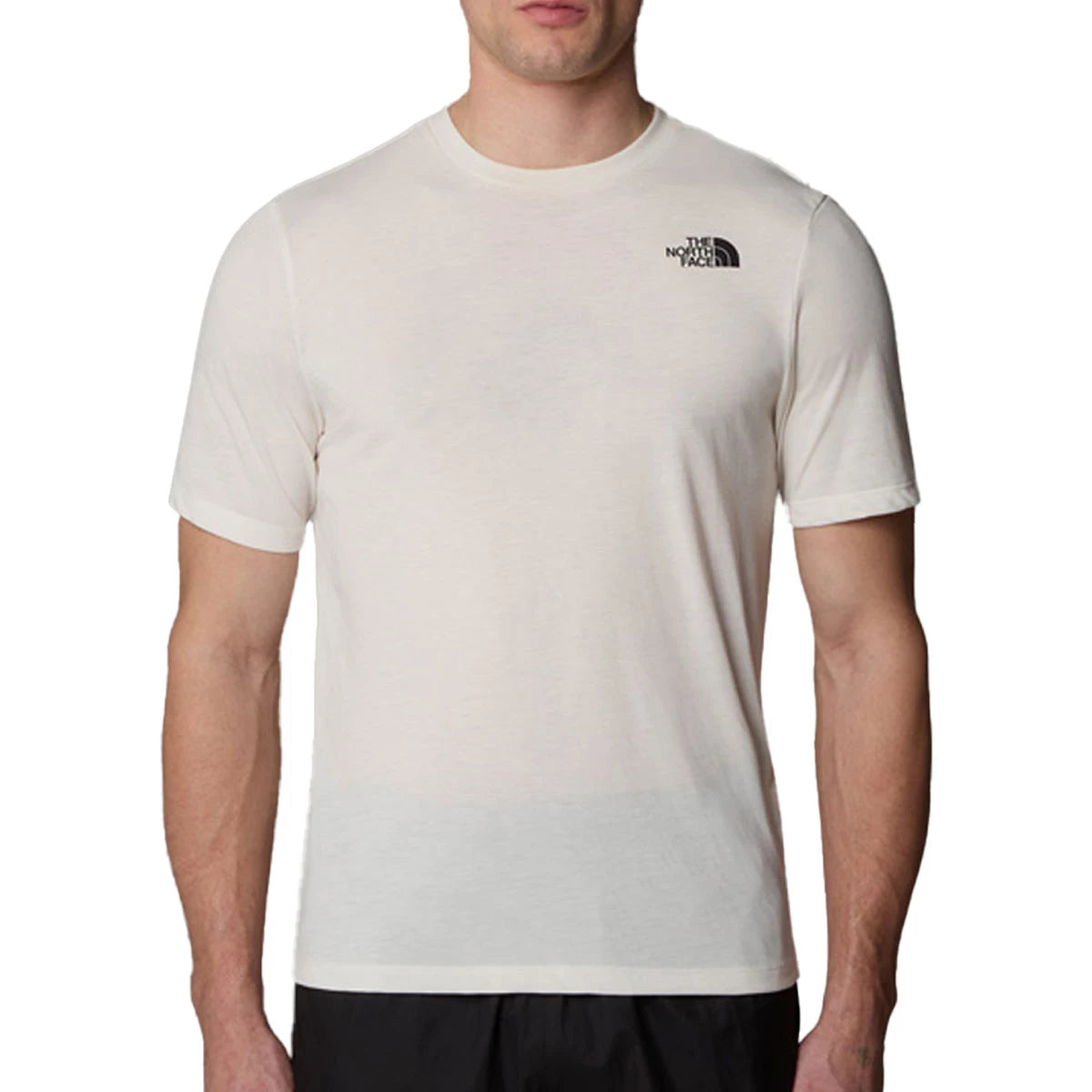 Men's TNF Foundation Mountains Faces Tee - White Dune